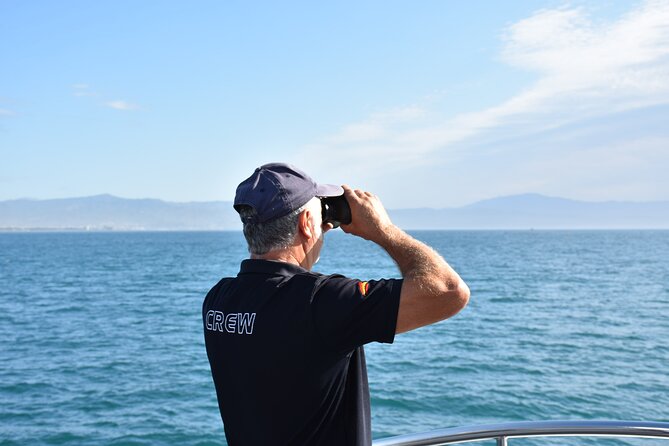Dolphin Sightseeing Boat Tour from Benalmadena - Getting on Board at Costasol Cruceros: Seats and Timing
