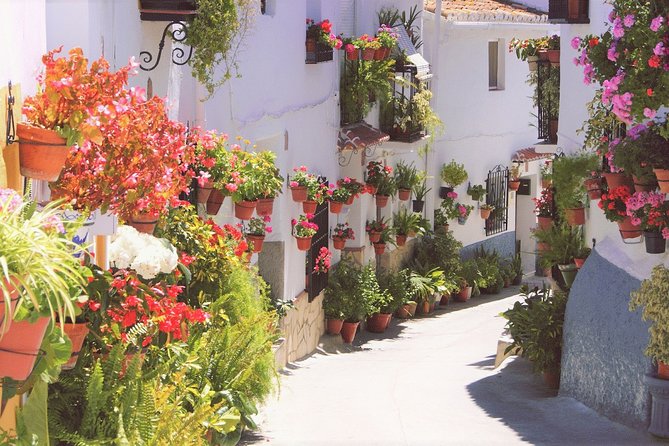 El Saltillo Gorge and White Village Hiking Tour from Malaga - Malaga Pickup: Easy Start, Real Countryside