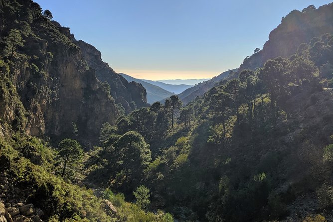El Saltillo Gorge and White Village Hiking Tour from Malaga - Return Through the Mountains: Wild Goats and Sunset
