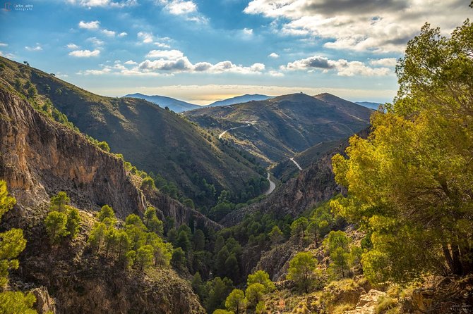 El Saltillo Gorge and White Village Hiking Tour from Malaga - Price and Value: Why $66.26 Can Make Sense