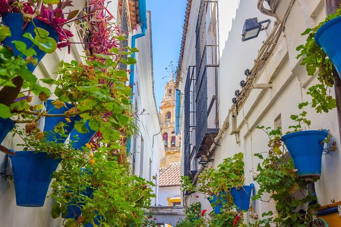 Excursion to Córdoba from Malaga - Key highlights at a glance