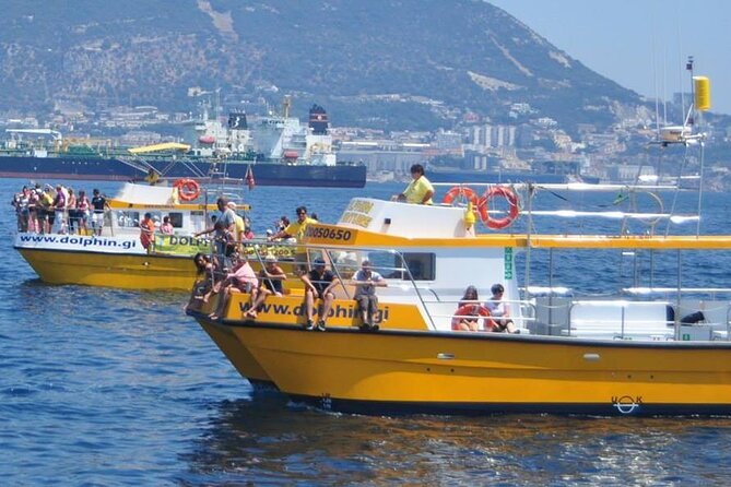 Excursion to Gibraltar with Dolphin Watching from Malaga - The coach ride: where the day starts (and how to plan for it)