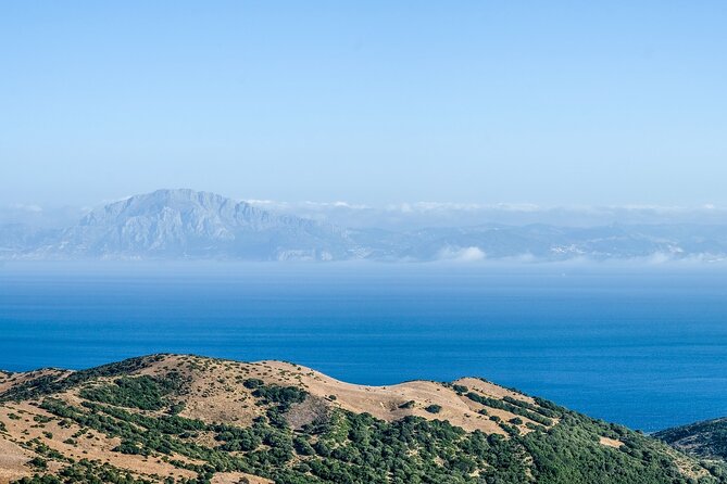 Excursion to Gibraltar with Rock Tour From Malaga - Leaving Malaga at 7:00 am: the tradeoff for seeing it all