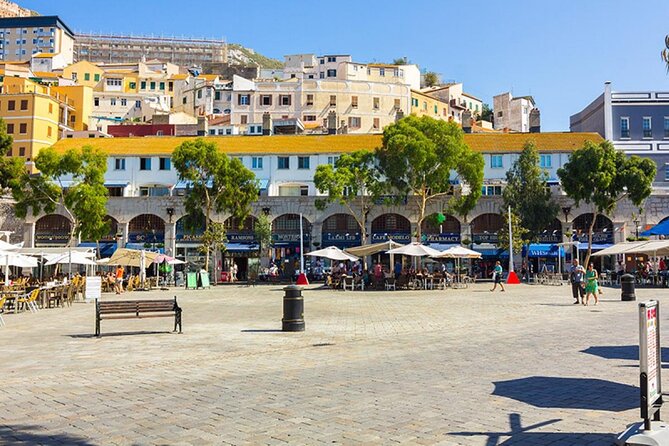Excursion to Gibraltar with Rock Tour From Malaga - The Rock of Gibraltar Nature Reserve: short time, big context