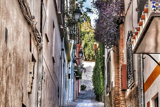 Excursion to Granada from Malaga - Price and value: is $40.52 a good deal?