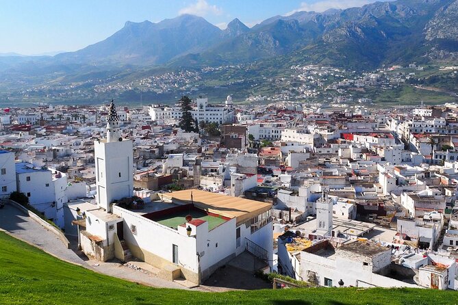 Excursion to Morocco with guided tour and lunch from Malaga - The Costa del Sol Transfer: When You’re Truly Committed