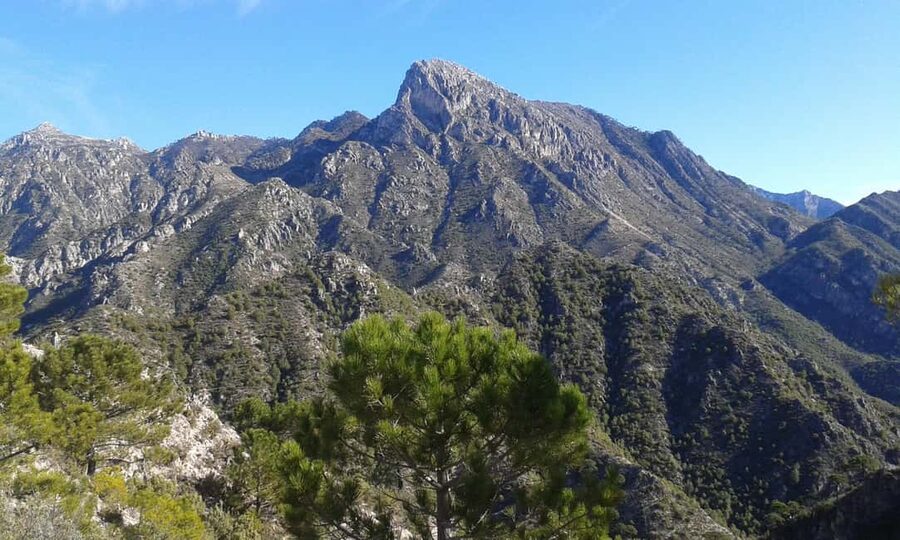 Explore the Nerja National Park nature in our open-top jeeps - Open-Top Jeeping in Nerja National Park: What the ride actually feels like