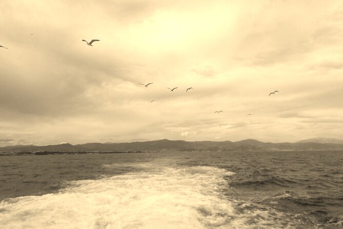 Ferry Benalmádena <> Fuengirola - On-Board Comfort: Wi‑Fi, Friendly Crew, and a Family-Friendly Pace