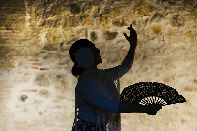 Flamenco, Tapas and Wine Tour: Best of Málaga in one Evening - A fast, satisfying way to eat your way through Málaga
