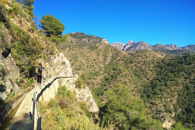 Frigiliana Small-Group Hike and Wine Tasting Tour from Malaga - Key Tour Highlights at a Glance