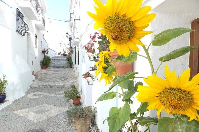 Frigiliana Small-Group Hike and Wine Tasting Tour from Malaga - Wine Tasting in a Cellar (With the Likely Tapas Bonus)