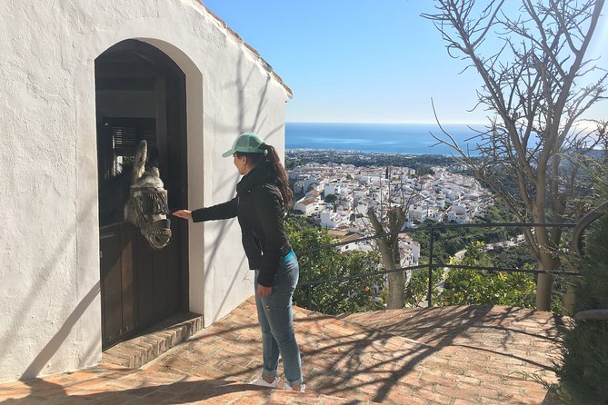 Frigiliana Small-Group Hike and Wine Tasting Tour from Malaga - Price and Value: Why $65.90 Makes Sense for This Route
