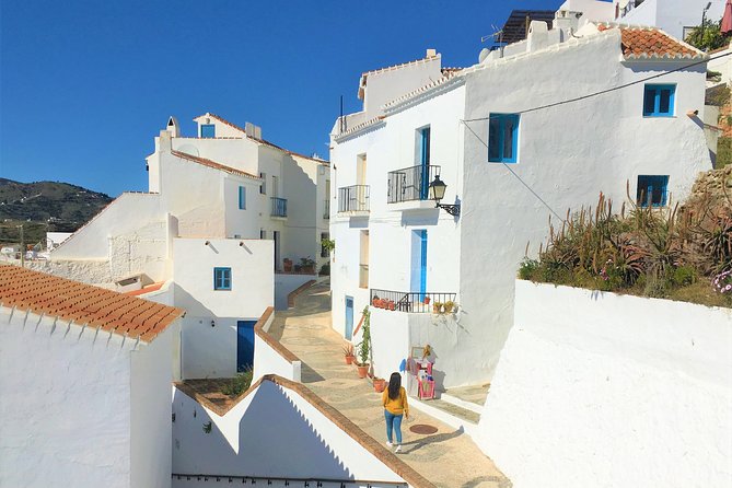 Frigiliana Small-Group Hike and Wine Tasting Tour from Malaga - Following the Arab Canal Into the Natural Park