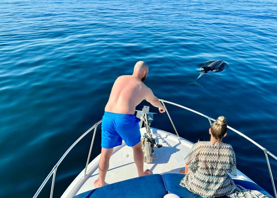 From Benalmádena & Torremolinos: Dolphin Watch Boat Trip - Who This Tour Fits Best (and Who Should Rethink It)
