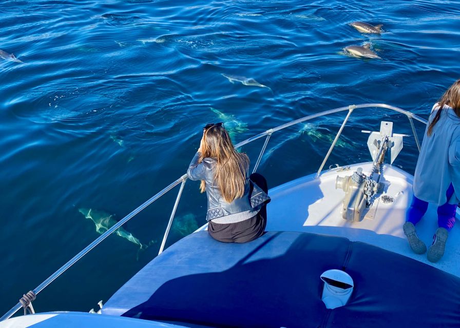 From Benalmádena & Torremolinos: Dolphin Watch Boat Trip - Dolphin Watching With Music Onboard and Real-Time Chances
