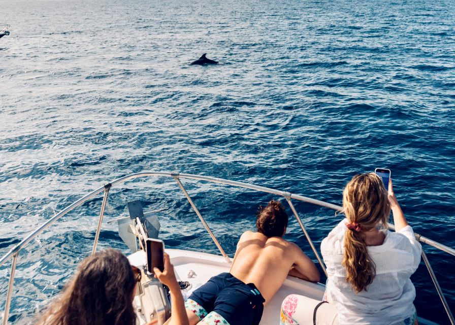 From Benalmádena & Torremolinos: Dolphin Watch Boat Trip - Price and Value: Is $44 a Good Deal?