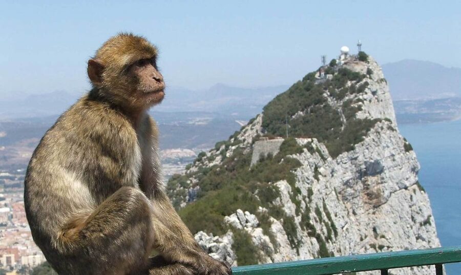 From Costa del Sol: Day Trip to Gibraltar with Guided Tour - Europa Point and the Rock views: getting your bearings fast