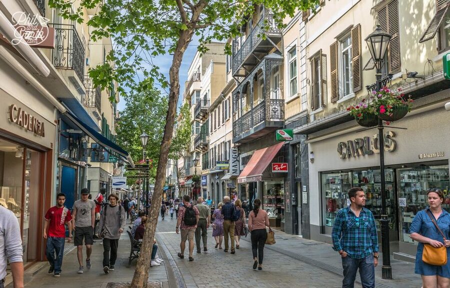 From Costa del Sol: Day Trip to Gibraltar with Guided Tour - Barbary apes in liberty: the most memorable short stop