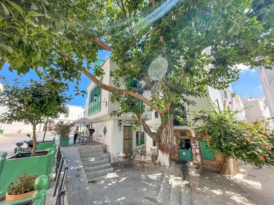 From Costa del Sol: Discover Tangier on a Guided Day Trip - Guide Quality and Languages: What Helps the Day Feel Worth It