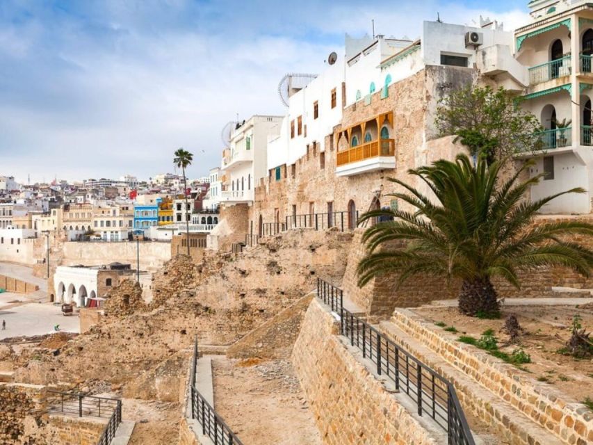 From Costa del Sol: Discover Tangier on a Guided Day Trip - Medina Free Time: How to Use Your 3 Hours