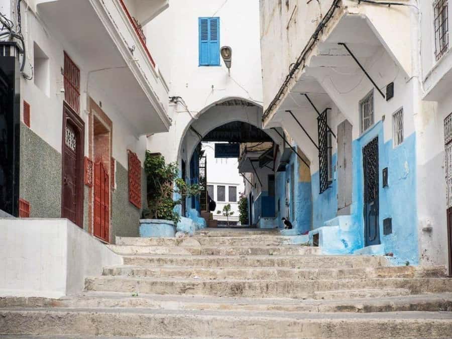 From Costa del Sol: Discover Tangier on a Guided Day Trip - After Lunch Options: Bazaar Time and a Berber Pharmacy