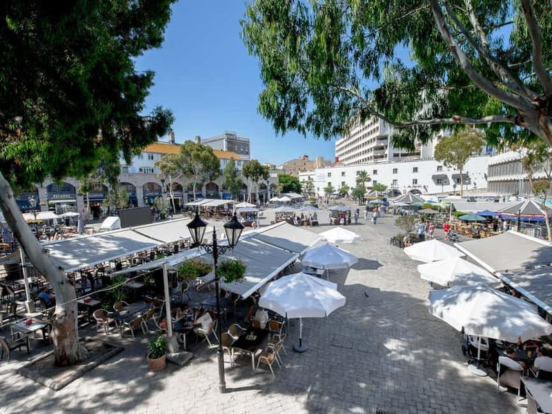 From Costa del Sol: Gibraltar Day Trip with Free Time - Your 5 hours to roam: shopping, streets, and how to prioritize