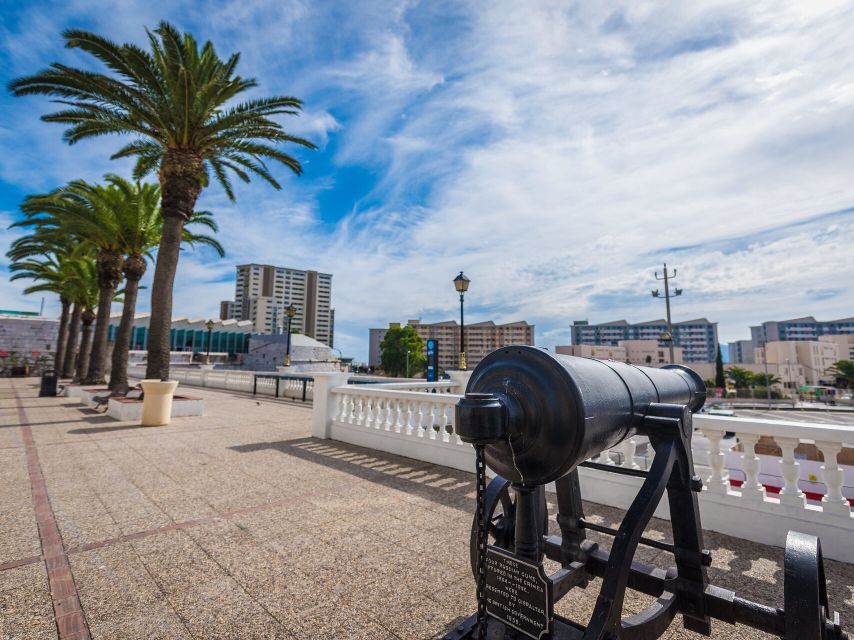 From Costa del Sol: Gibraltar Dolphin Watching by Boat - How the long bus ride shapes the day