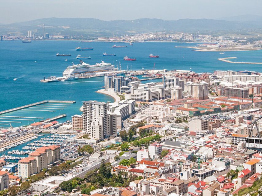 From Costa del Sol: Gibraltar Dolphin Watching by Boat - Port meeting and the dolphin hunt: what a 90-minute cruise feels like