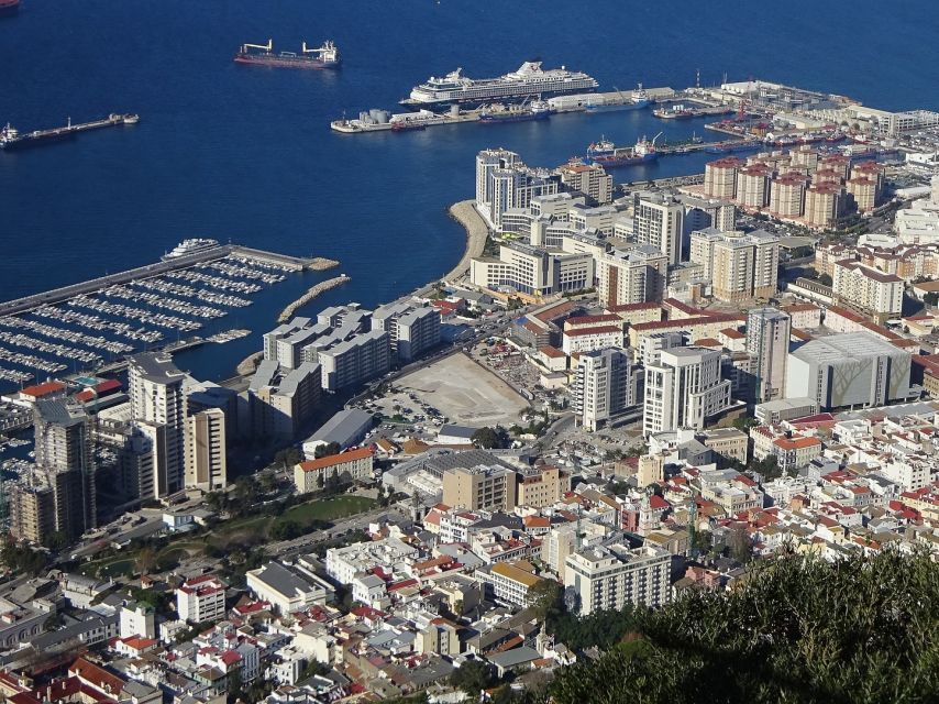 From Costa del Sol: Gibraltar Dolphin Watching by Boat - Meet the human factor: guides and small comfort details