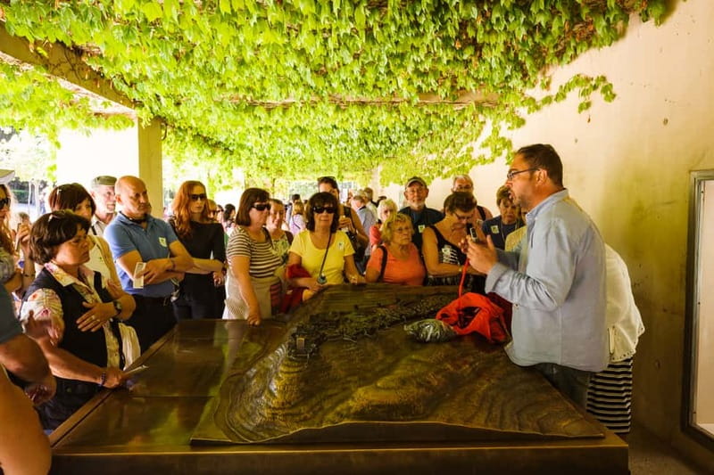 From Costa del Sol: Granada Full-Day Tour - Granada in a single long day from the Costa del Sol