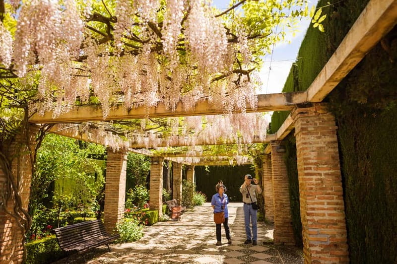 From Costa del Sol: Granada Full-Day Tour - Pick your experience: guided, audio, or on your own