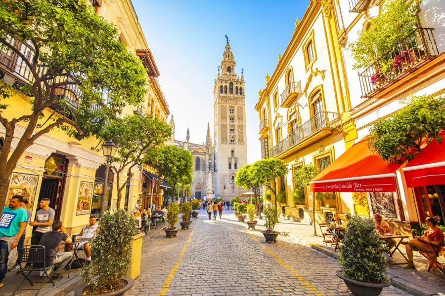 From Costa del Sol: Guided Tour of Seville - Who this tour fits best