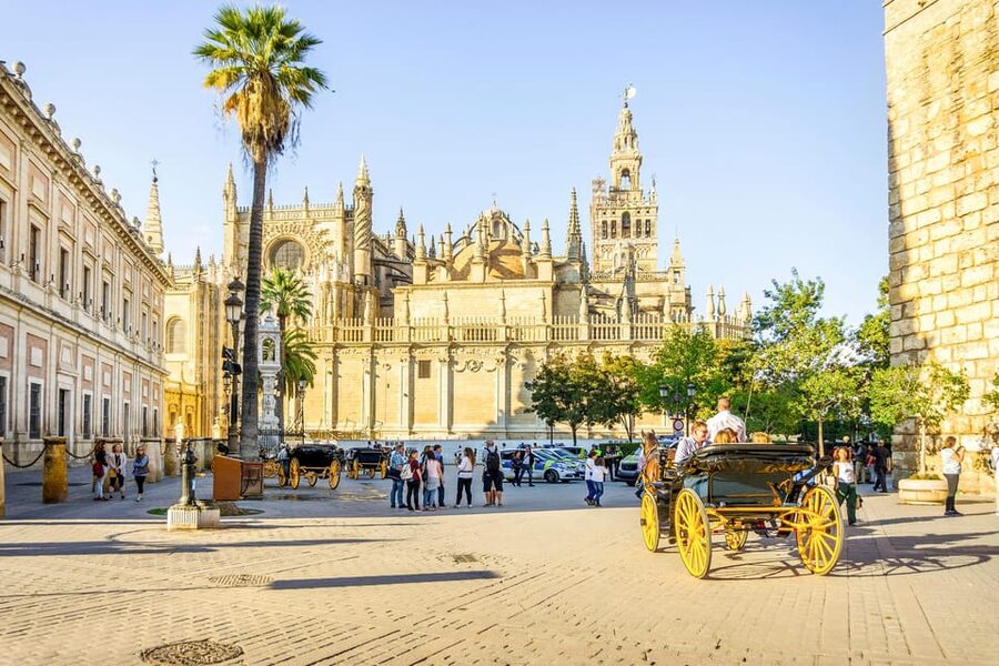 From Costa del Sol: Guided Tour of Seville - Barrio de Santa Cruz free time: plazas, courtyards, and small magic