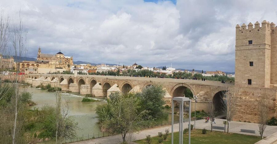 From Malaga and Costa Del Sol: Cordoba Day Trip - Key takeaways before you go