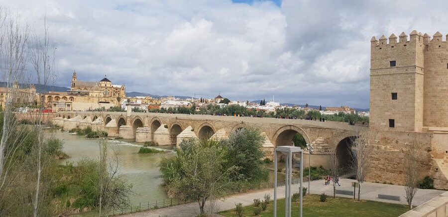 From Malaga and Costa Del Sol: Cordoba Day Trip - The bus ride: quick context so Córdoba makes sense