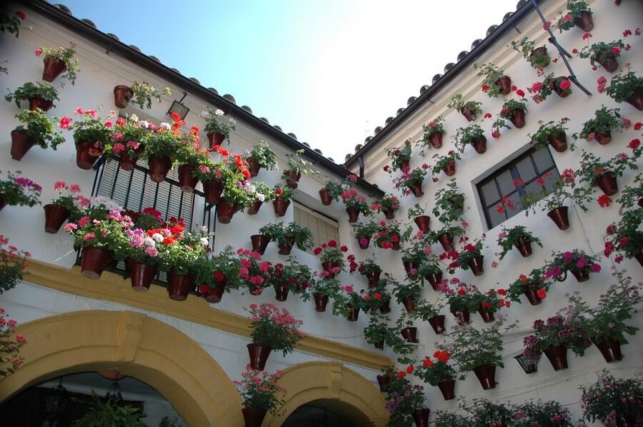 From Malaga and Costa Del Sol: Cordoba Day Trip - Food in Córdoba: flamenquines and salmorejo, but plan for it