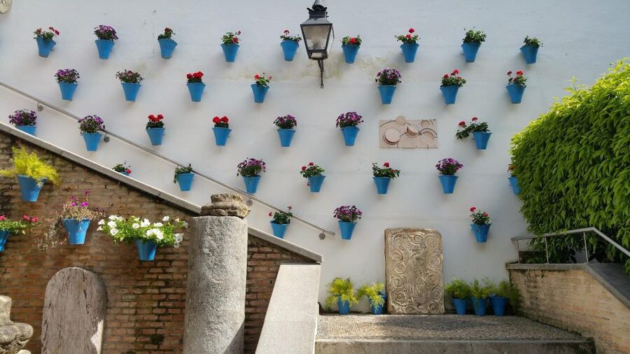 From Malaga and Costa Del Sol: Cordoba Day Trip - Guide quality and pace: from Aline to Ana to Jorge