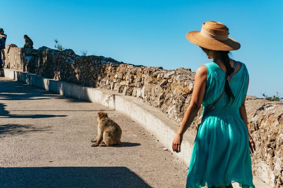 From Malaga and Costa del Sol: Gibraltar Tour - From Malaga to Gibraltar: what the 3.5-hour coach really means