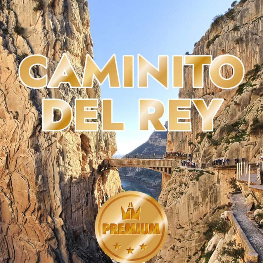 From Malaga: Caminito del Rey all included - From Málaga to El Chorro: The Value of an All-Included Day