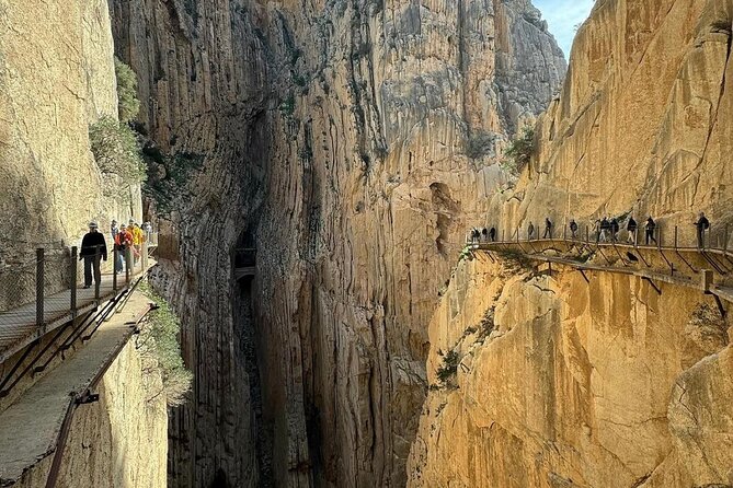 From Malaga: Caminito del Rey tour with Private Transportation - Malaga pickup to Caminito access: why this transport setup is worth it