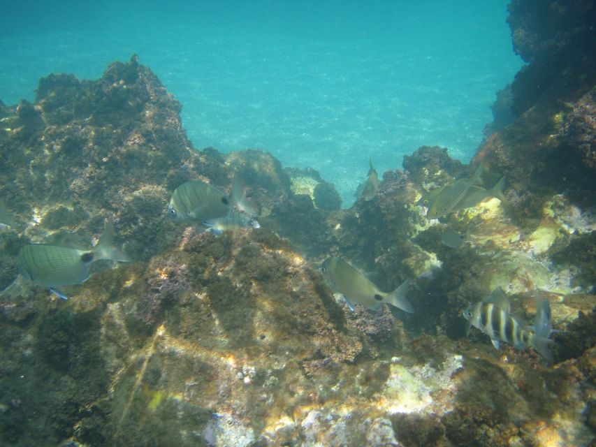 From Malaga: Cliffs of Maro Hike w/ Beach Visit & Snorkeling - Comfort, safety, and the realistic fitness level