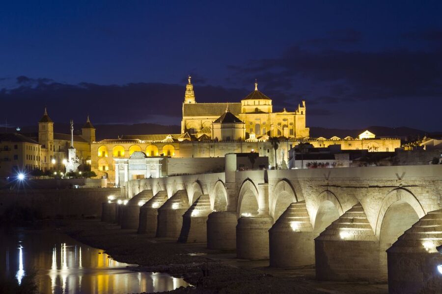 From Málaga: Córdoba Mosque Guided Tour - Price and value: is $223 a smart spend or an overpay?