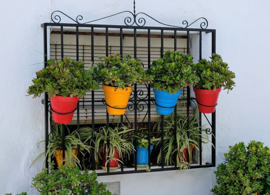 From Málaga /Costa del Sol: Trip to Nerja & Frigiliana - Key things to know before you go