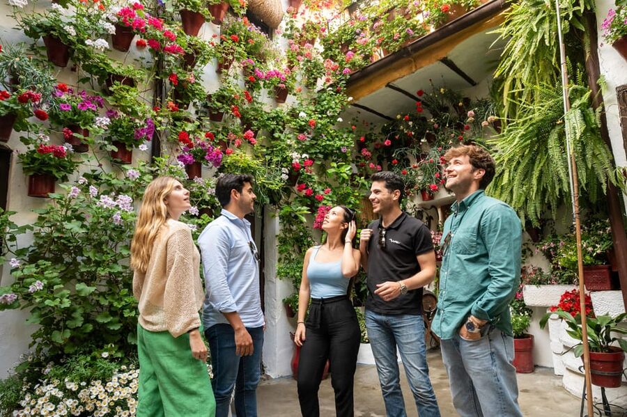 From Málaga: Day trip to Córdoba - Premium Small Group Tour - Key highlights at a glance