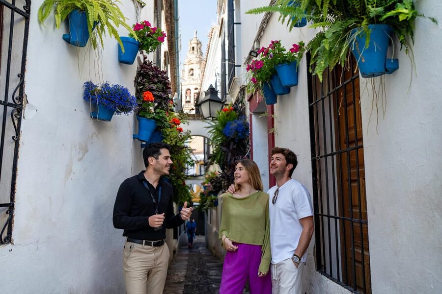 From Málaga: Day trip to Córdoba - Premium Small Group Tour - Jewish Quarter walk: where Córdoba feels lived-in
