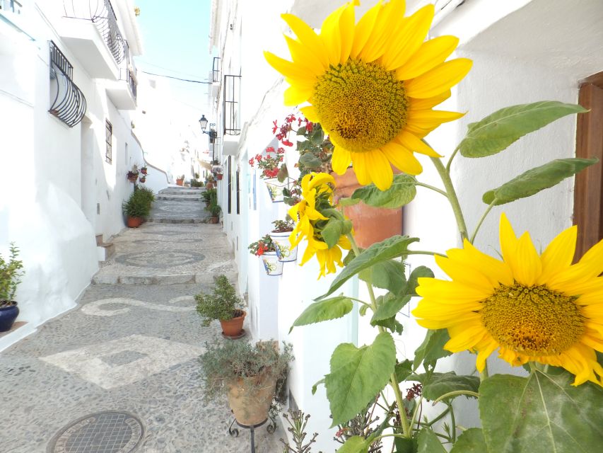 From Málaga: Frigiliana Hiking Tour with Wine & Appetizers - From Alameda to Calle Ordoñez: getting to the start point is the easy part