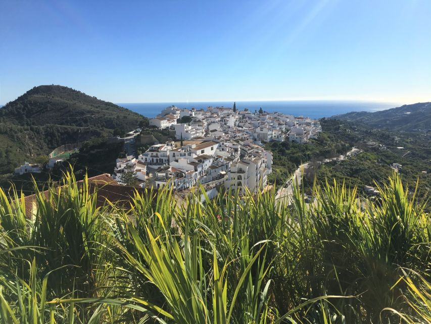 From Málaga: Frigiliana Hiking Tour with Wine & Appetizers - Small practical tips that make a big difference