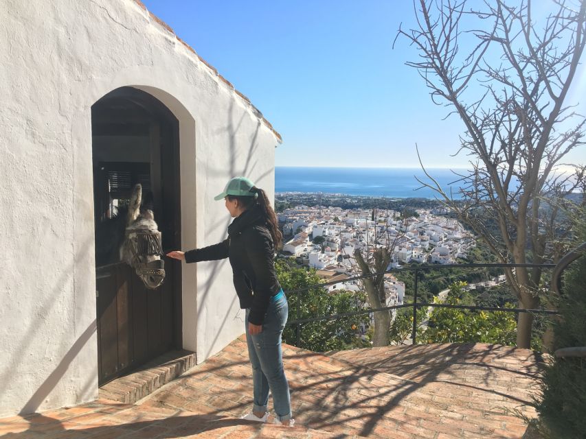 From Málaga: Frigiliana Hiking Tour with Wine & Appetizers - Avocado plantations and the Arab irrigation canal: the walk’s real story