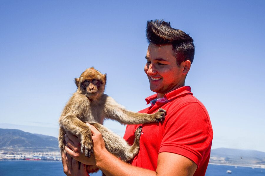 From Malaga: Full-Day Trip to Gibraltar - Key things to know before you go