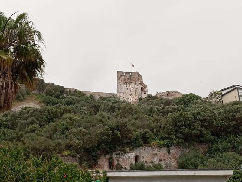 From Málaga: Gibraltar Day Trip - Barbary apes and caves: what you’re planning for